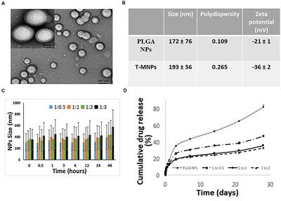 Melanoma Peptide MHC Specific TCR Expressing T-Cell Membrane Camouflaged PLGA Nanoparticles for Treatment of Melanoma Skin Cancer